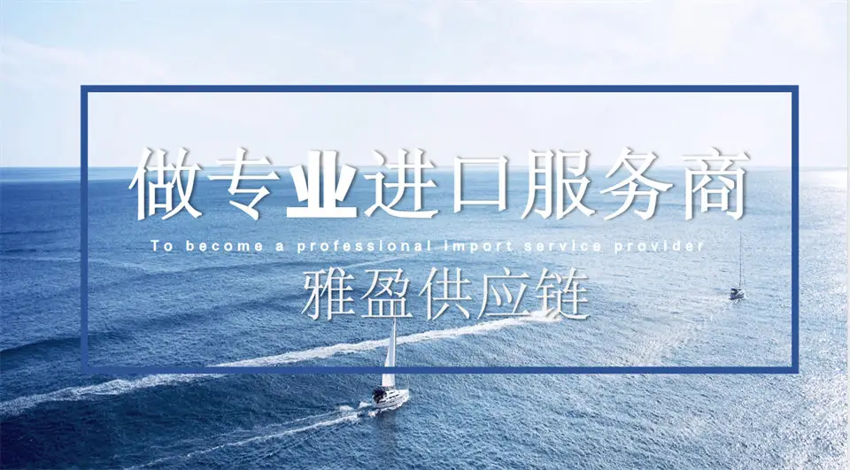 上海外高橋保稅區供應鏈服務：報關、倉儲、物流協同運作方案