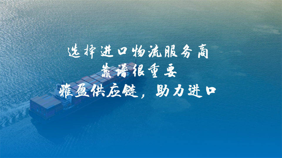 上海外高橋保稅區供應鏈服務：報關、倉儲、物流協同運作方案