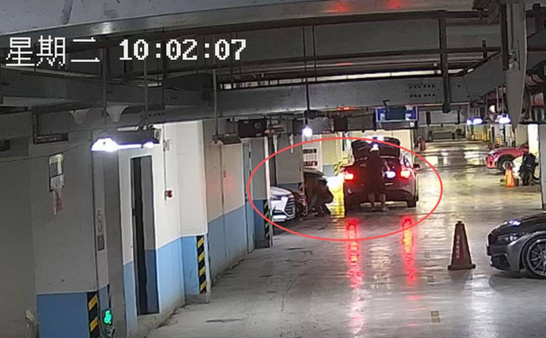 上海嘉定：百萬豪車停在地庫，竟被人“螞蟻搬家式”拆光賣了