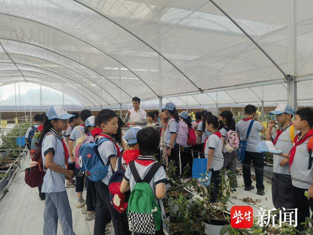 南京玄武區科技夏令營開營 40名小學生在智慧大棚裡“漲知識”