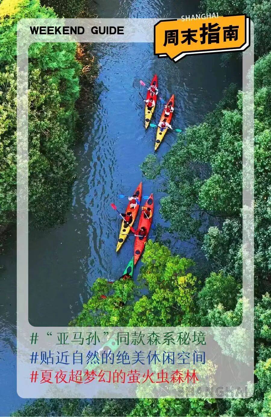 上海藏著“小亞馬孫”！皮划艇+高顏值美食+夏夜流螢，一次打卡仲夏限定浪漫→