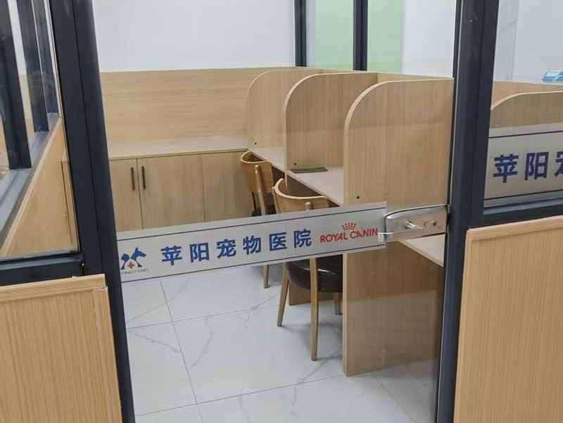 長春市寵物美容怎麼選