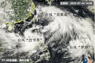 大海上的“舞蹈家”