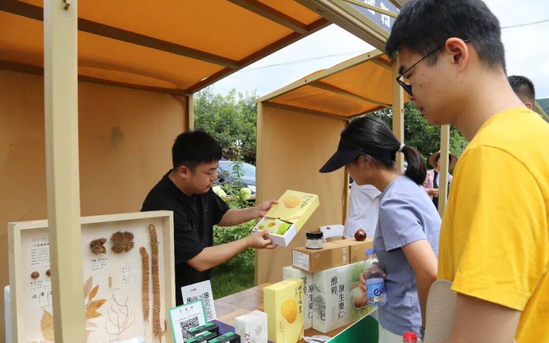 長城腳下，動漫覺醒！HELLO動漫谷，“瞌睡貓”邀您入谷