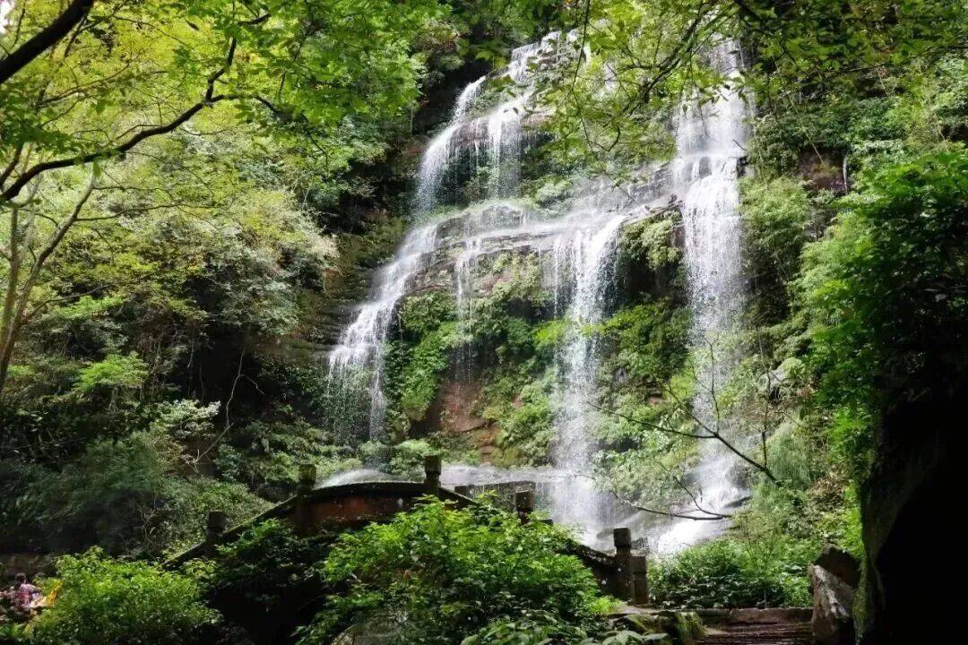 今日入伏 收藏一份夏日安然
