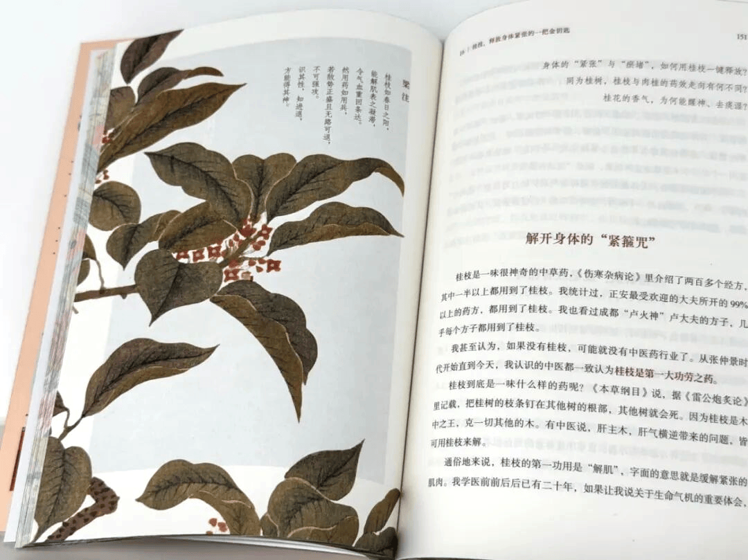 重磅新書首發！中國人的長期主義，值得收藏的驚豔之作