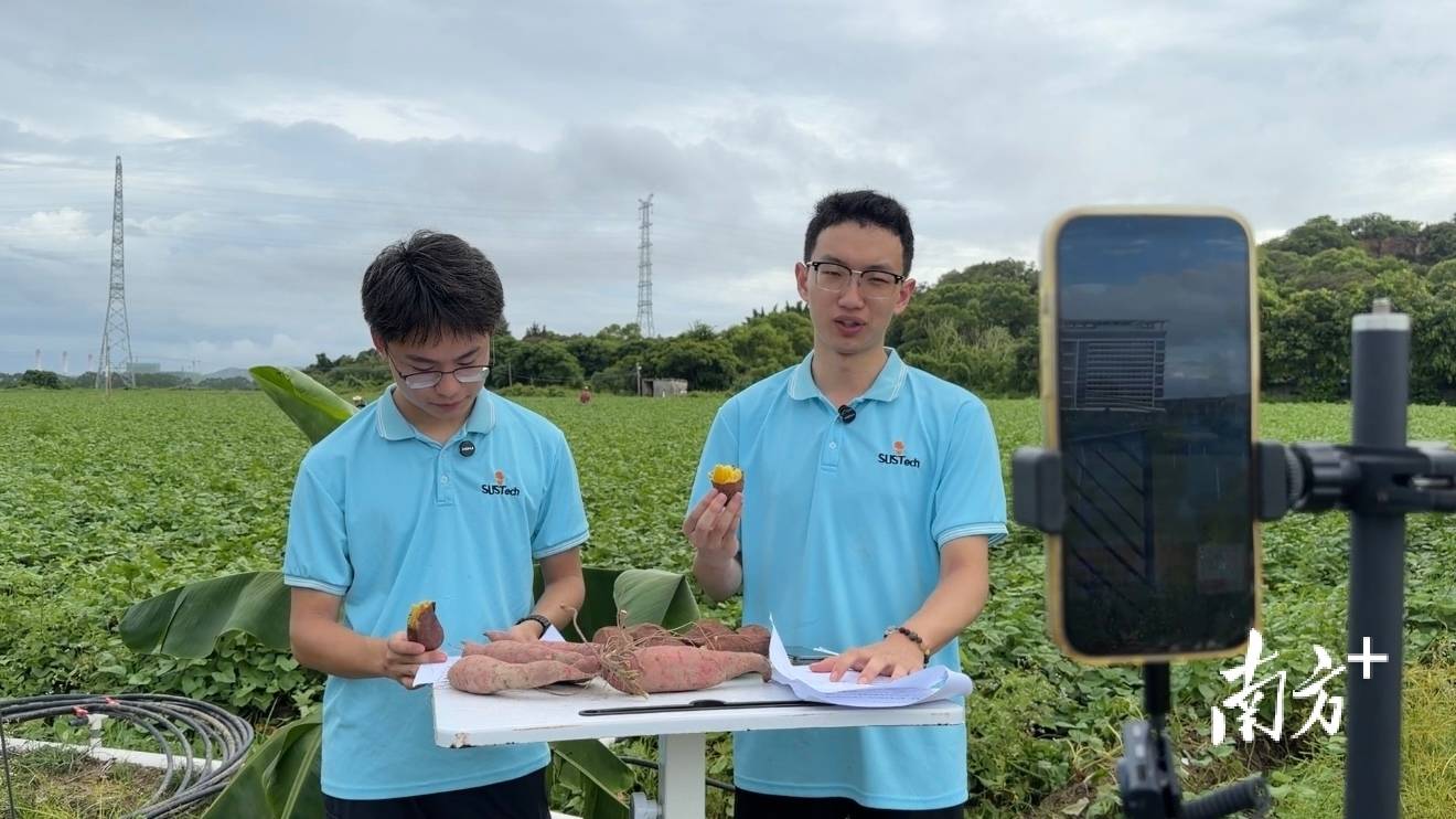 到原產地直播！這群大學生在濠江當起“鄉村推薦官”