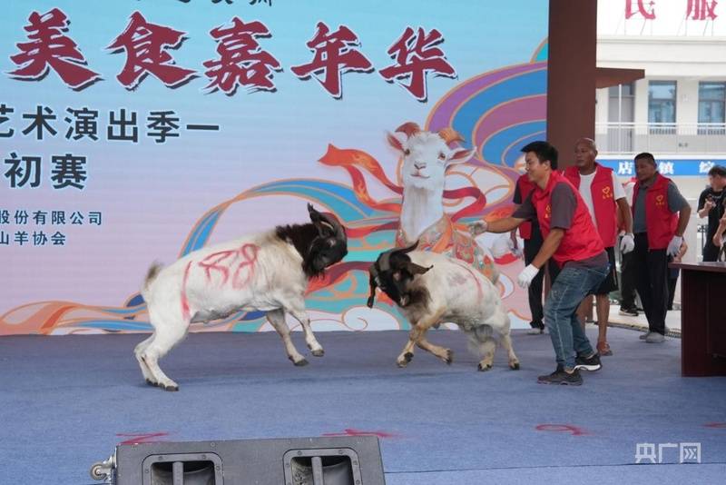 賞嗩吶、看鬥羊、品美食 ——臨泉縣瓦店鎮掀起鄉村盛夏狂歡