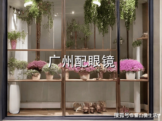 廣州配眼鏡推薦，獨立品牌老牌連鎖和醫院三家怎麼選