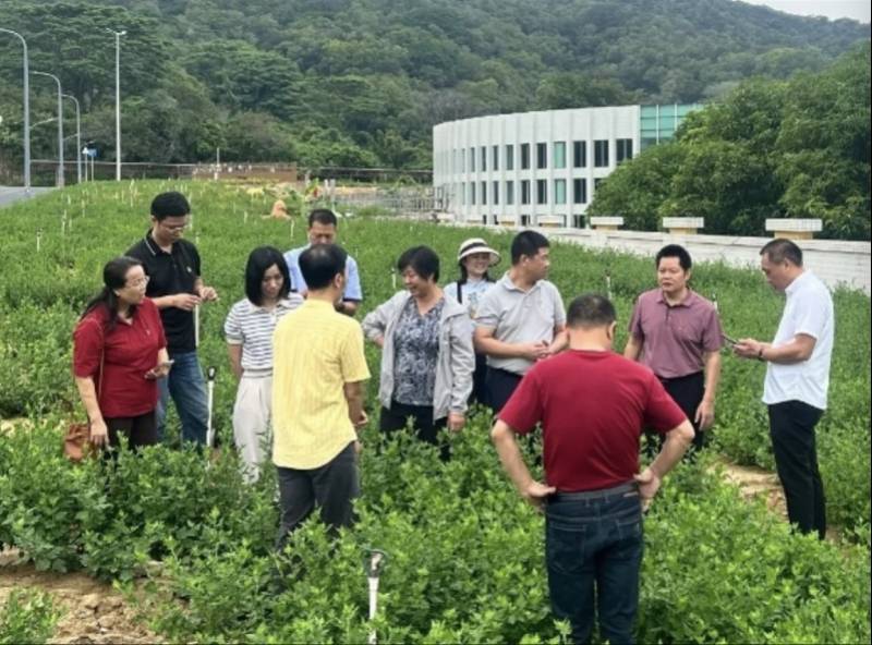 洪生標的“大地論文”：土特產變金招牌，蝴蝶蘭有“中國芯”