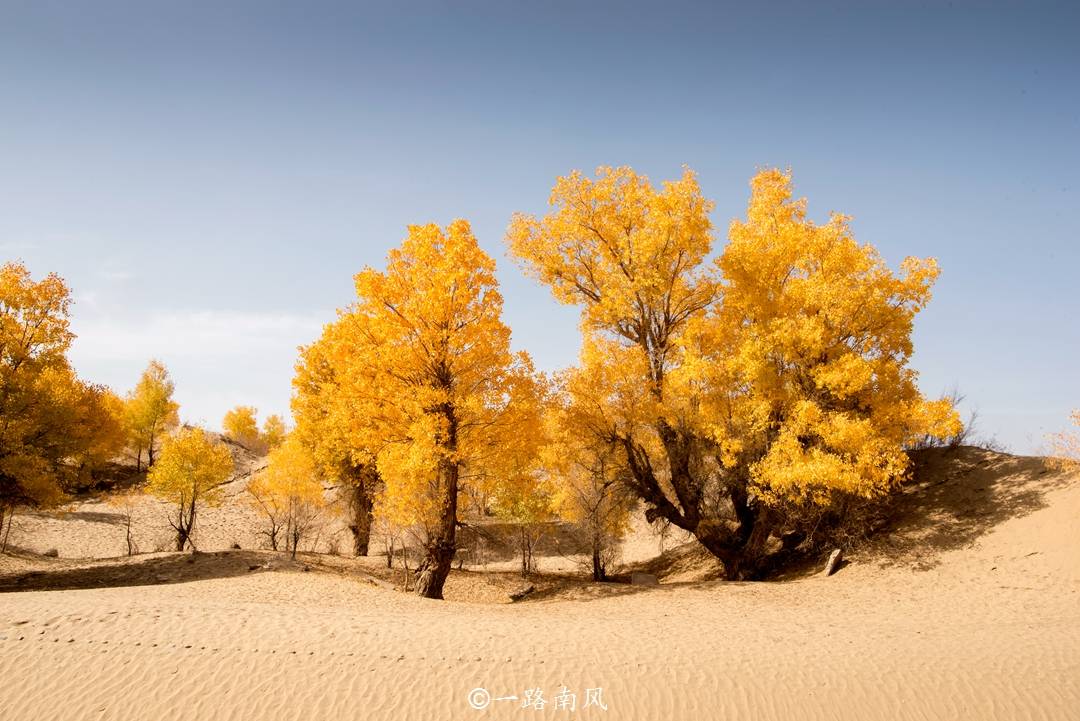 原創新疆和田，被嚴重低估的寶藏旅遊地