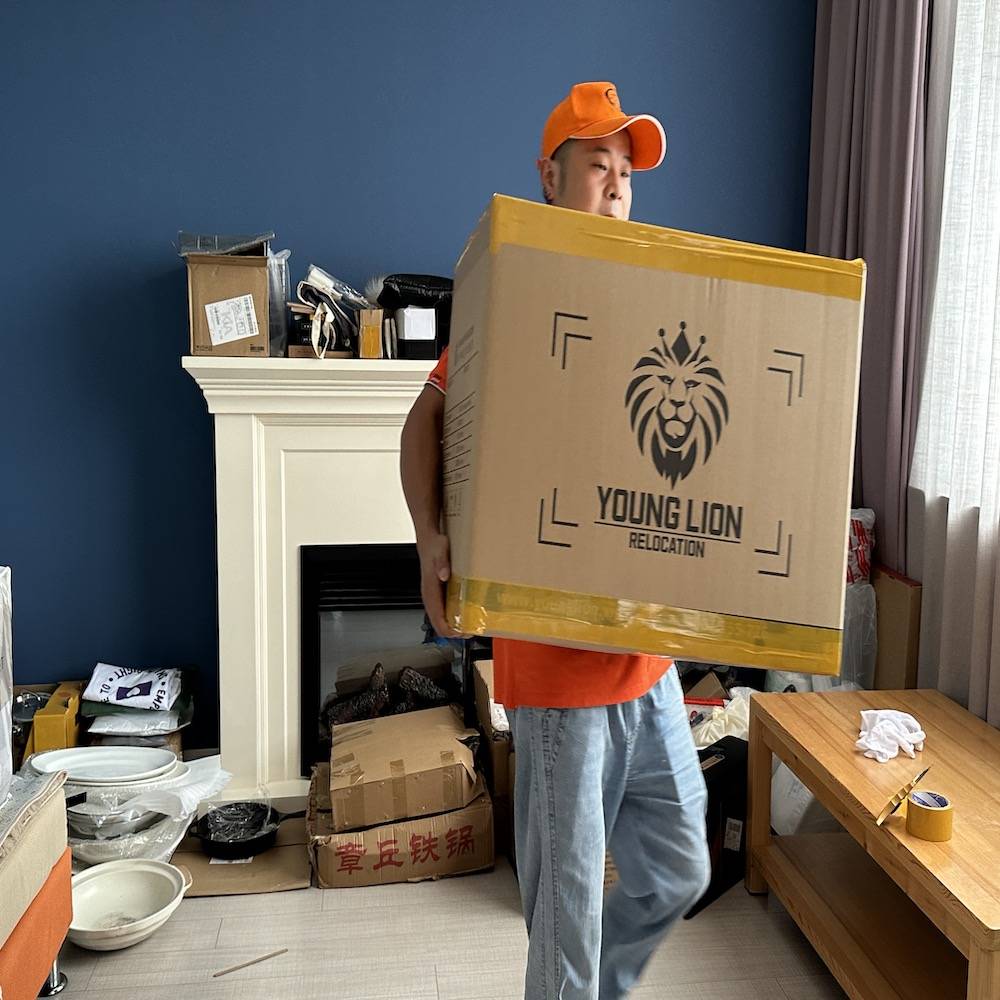 國際搬家哪家好？陽獅國際搬家深度解析，行業內很少對外說的真相