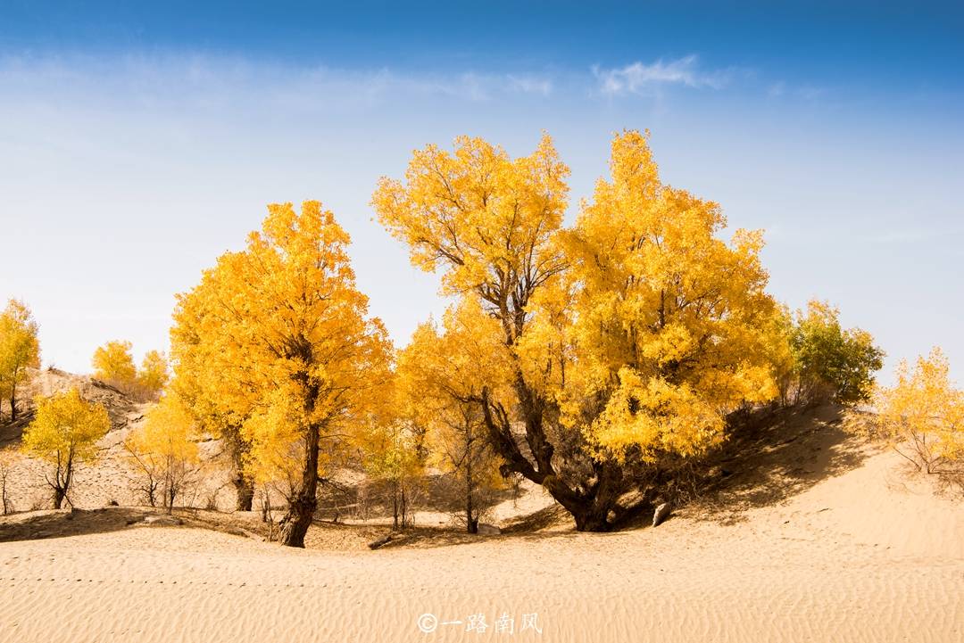 原創新疆和田，被嚴重低估的寶藏旅遊地