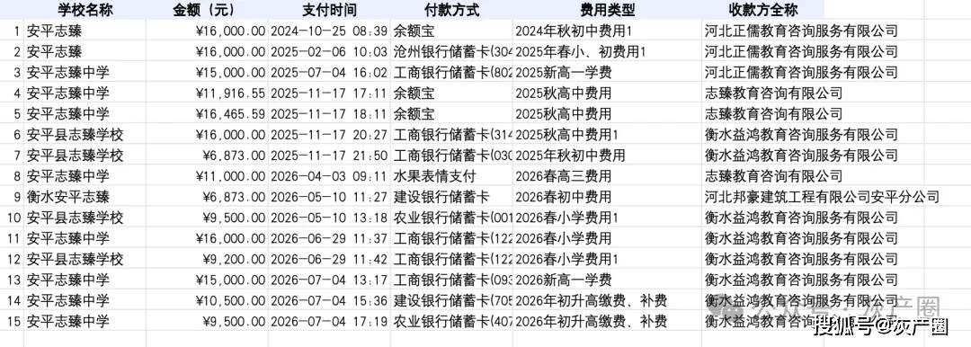 20億打造的超級中學“4名官員佔股49%”，衡水紀委介入調查