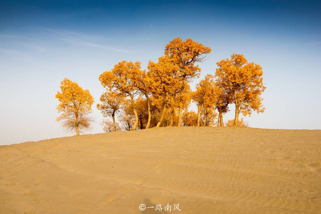 原創新疆和田，被嚴重低估的寶藏旅遊地