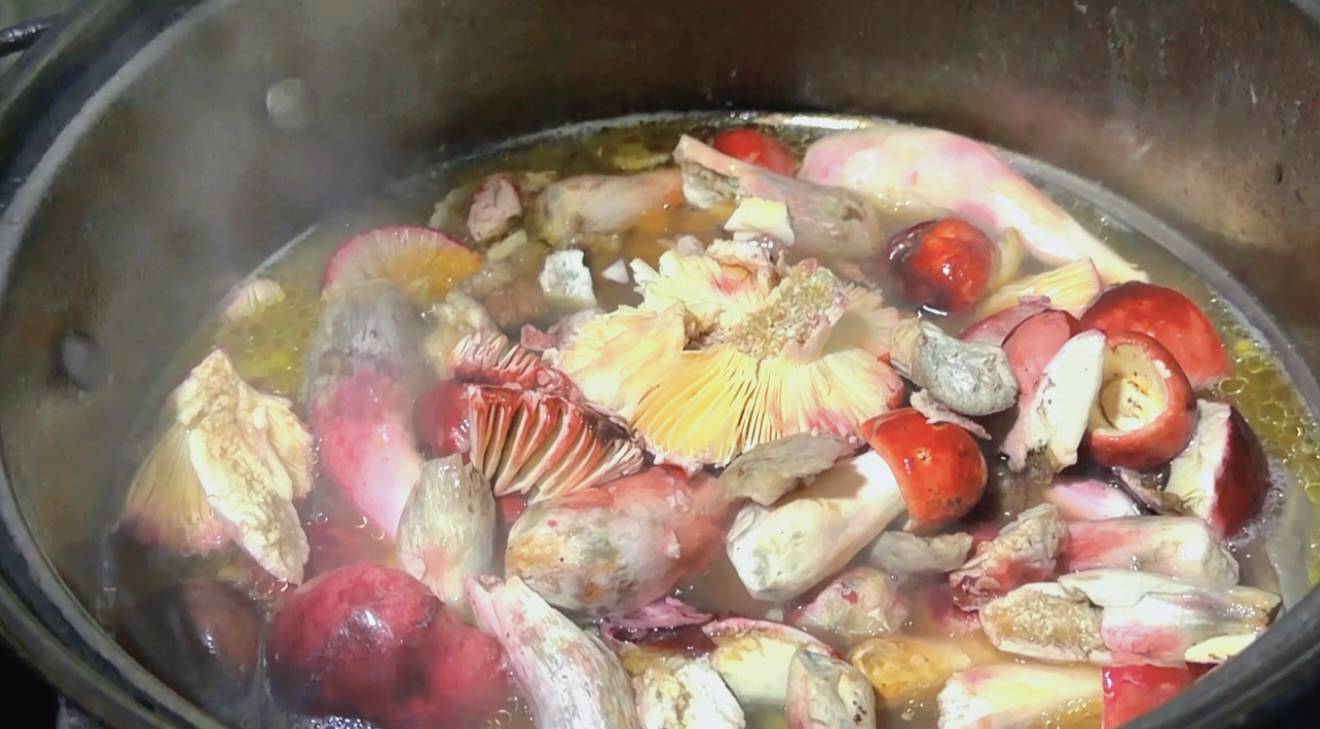 臨滄鳳慶縣：雨季限定美食——紅菌煮雞