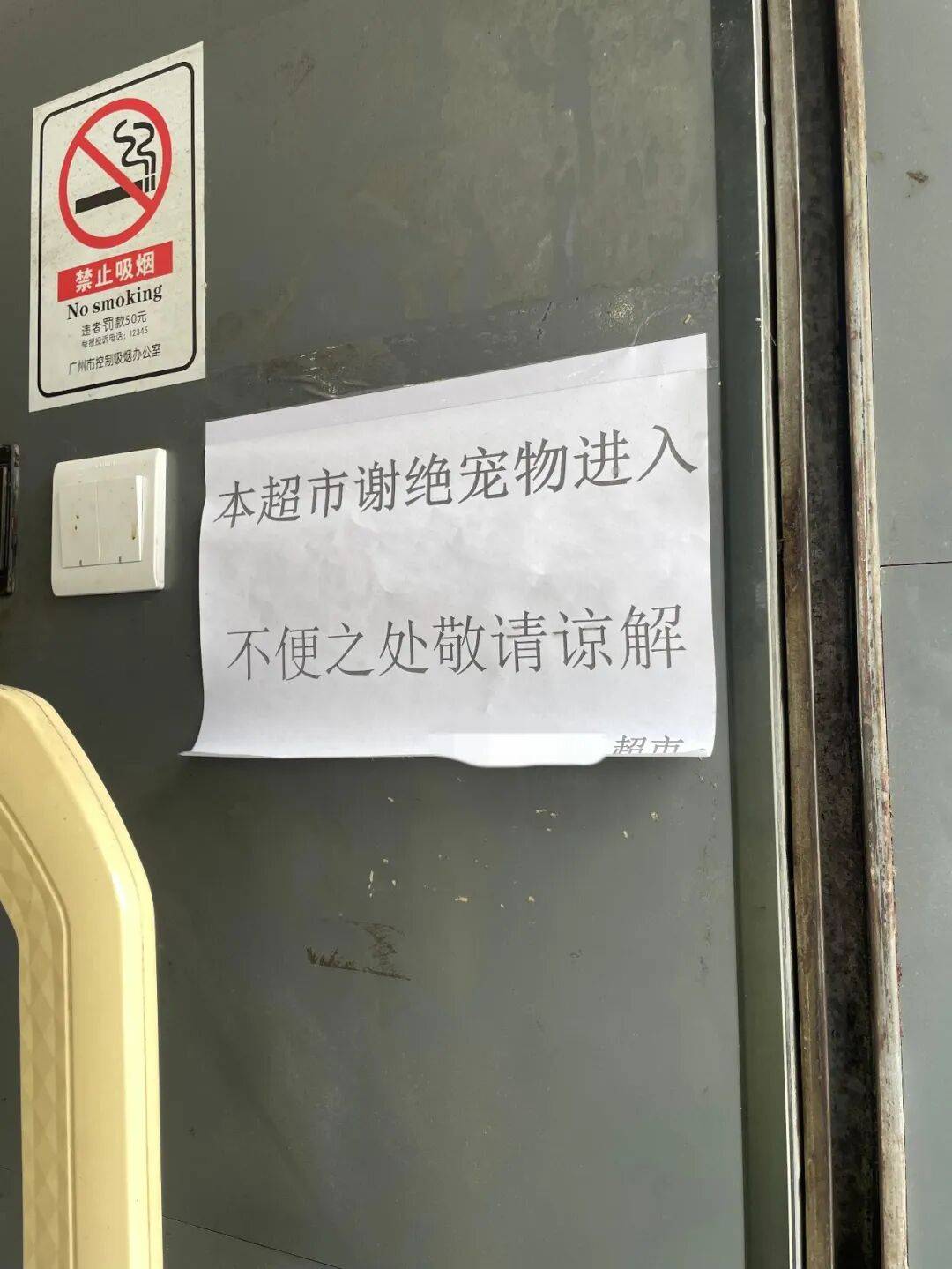 廣州一市民與他人發生爭執，順手將寵物狗放在超市乾貨架，超市負責人：四個乾貨架已清空消毒，不打算追責狗主人