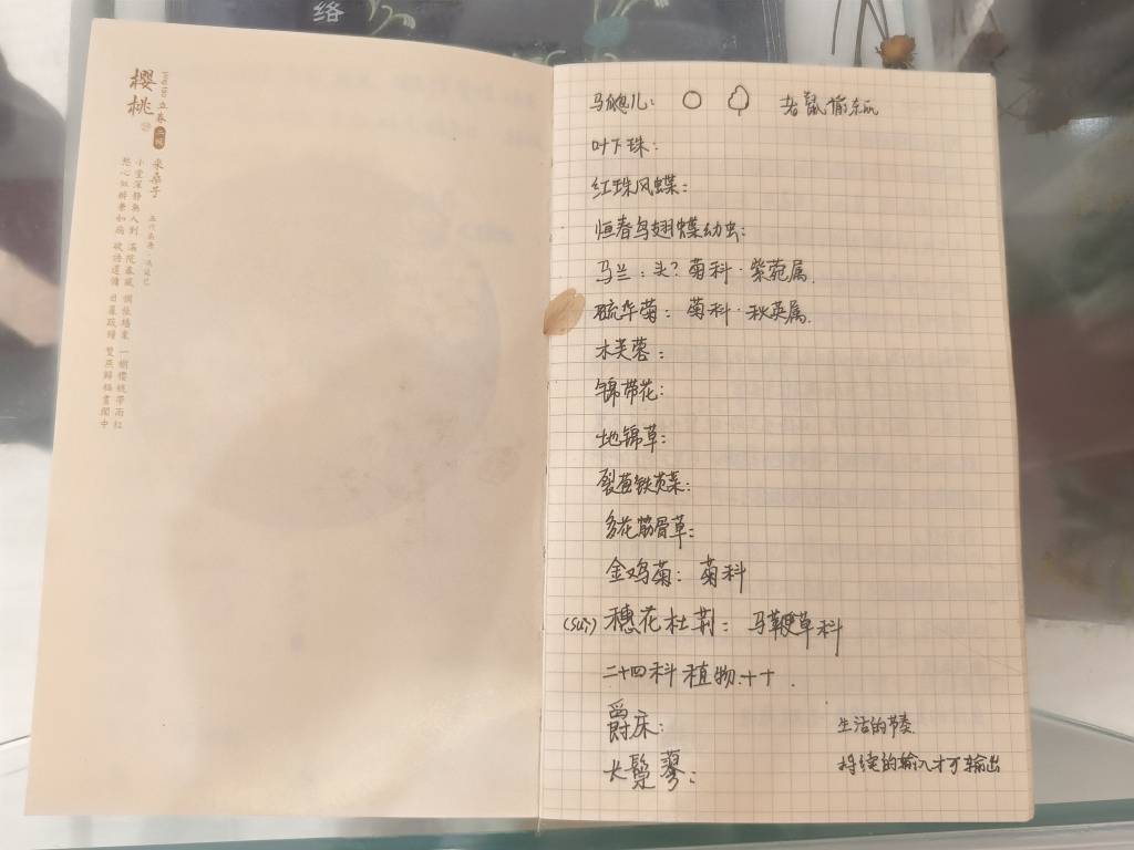 在浦東圖書館，邂逅畫家丁融筆下的東方本草之美