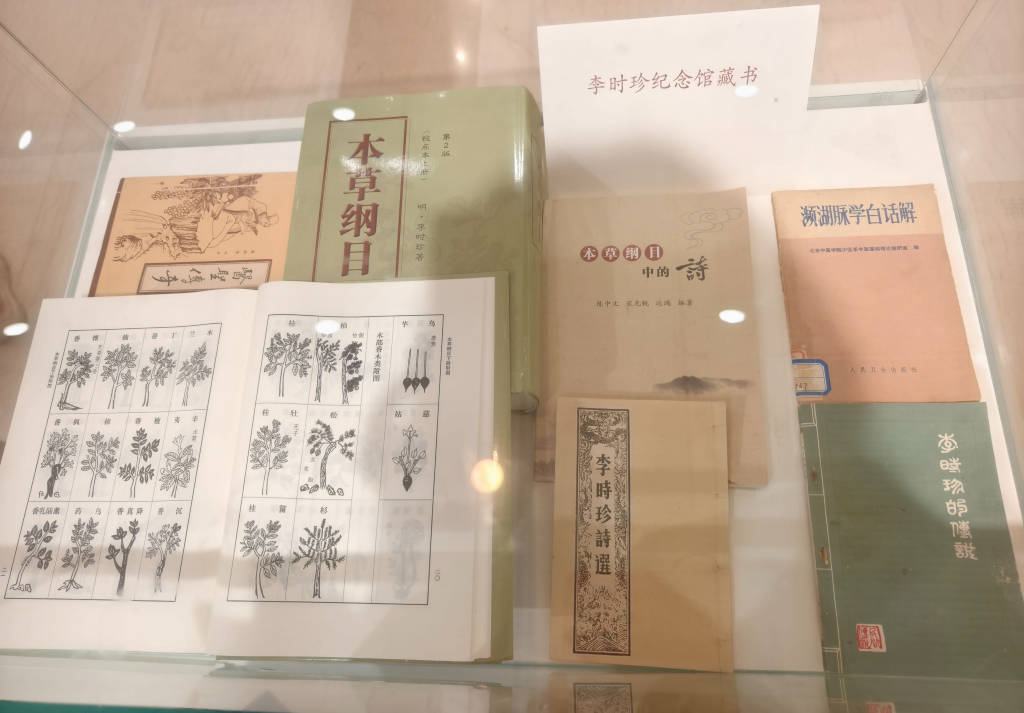 在浦東圖書館，邂逅畫家丁融筆下的東方本草之美