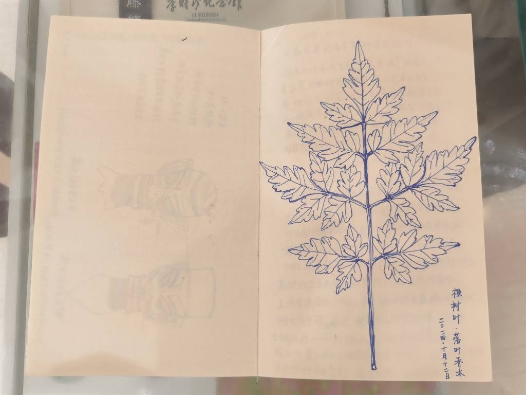 在浦東圖書館，邂逅畫家丁融筆下的東方本草之美