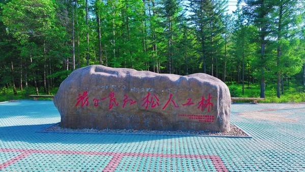 伊春市大箐山縣影視產業穩步發展“跟著電影遊箐山”品牌效應初顯