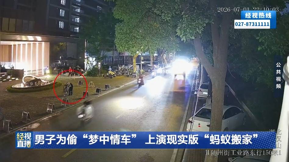 男子為偷“夢中情車”，上演現實版“螞蟻搬家”，盜取鄰居兩輛名貴腳踏車，11分鐘被抓