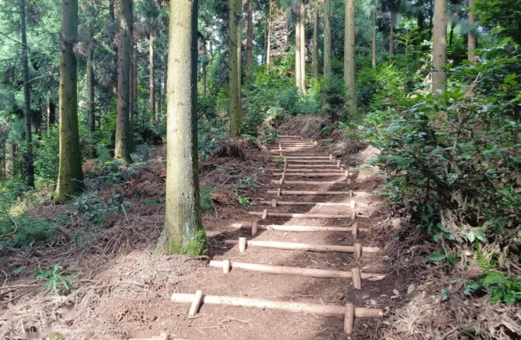 邛崍參與起草！首個山地旅遊行標背後的“崍戶外”答卷