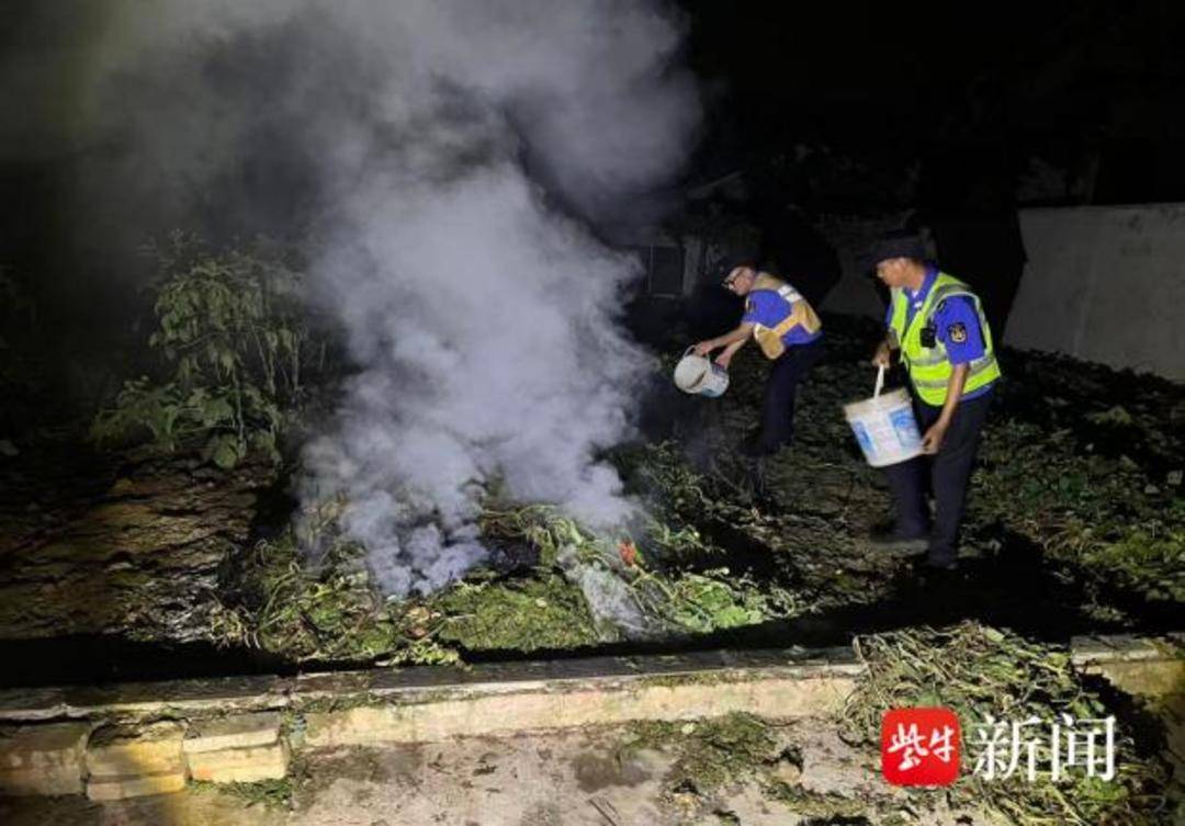 露天焚燒枯枝雜物，南京江北新區綜合行政執法部門快速處置