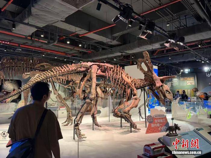 廣州依託恐龍前沿科研成果啟用全民科學教育新動能