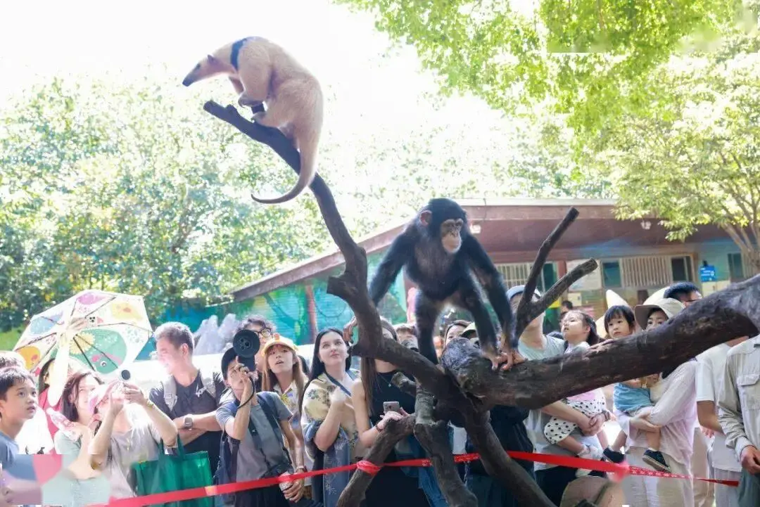 “一起狂歡吧！”上海旅遊節限時特惠！