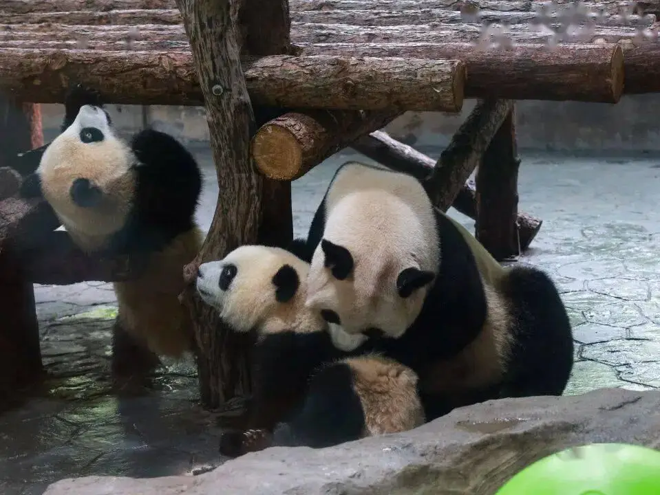 “一起狂歡吧！”上海旅遊節限時特惠！