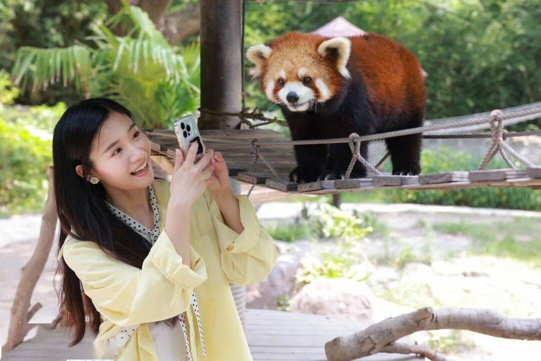 “一起狂歡吧！”上海旅遊節限時特惠！