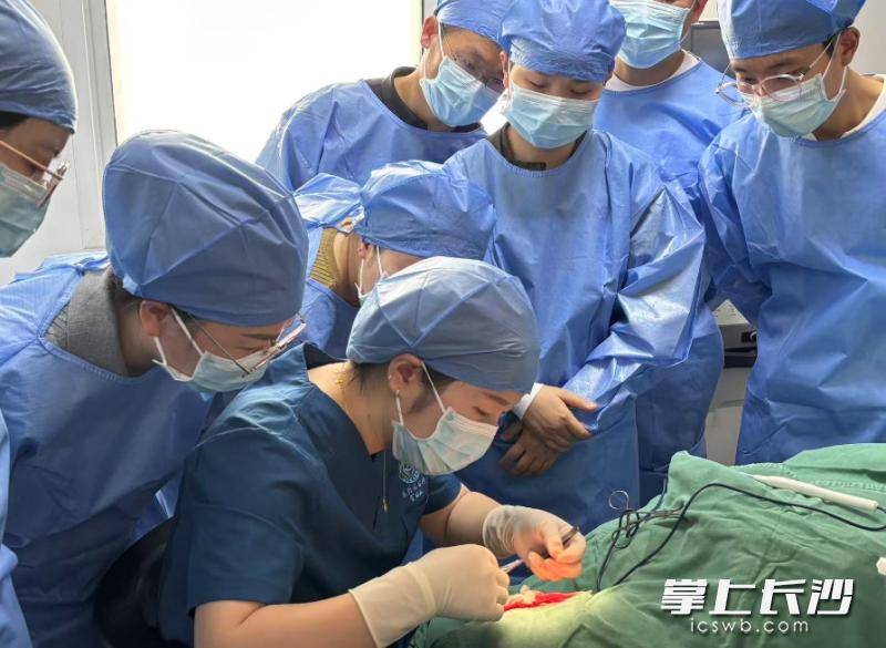 原創被動物咬傷後怎麼縫合？全省同道在“美容縫合培訓班”上切磋技藝