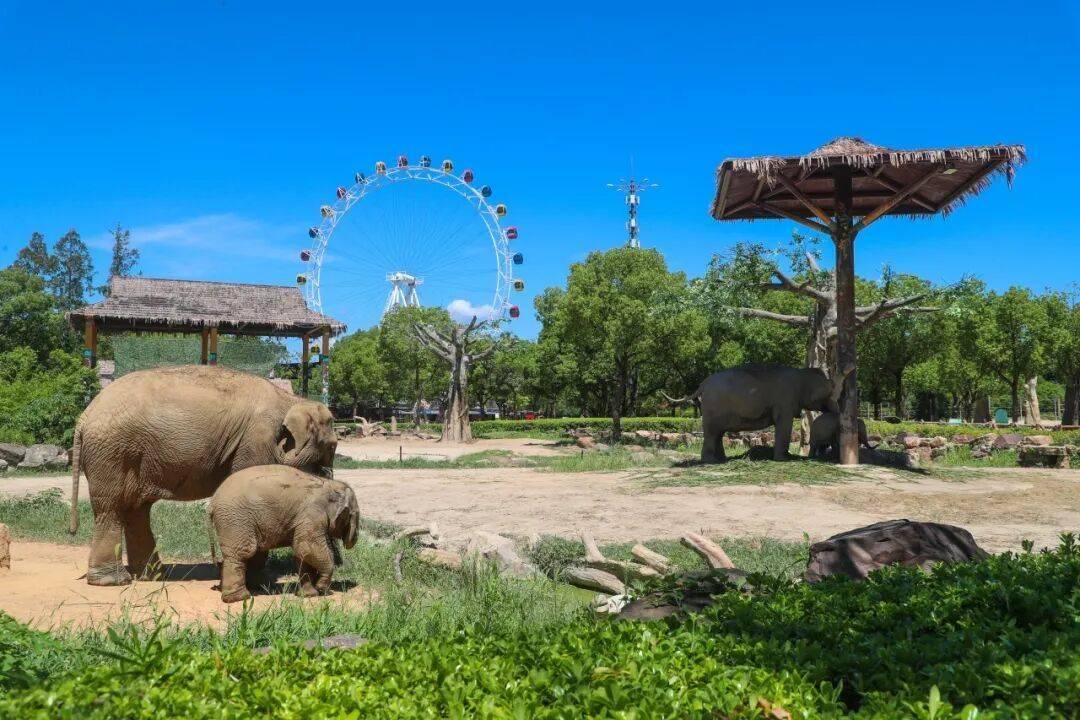 “一起狂歡吧！”上海旅遊節限時特惠！