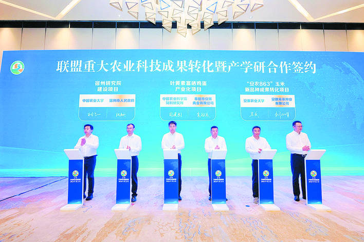專家學者把論文寫在江淮大地 “1+5”農業科技創新聯盟“跑”出產學研加速度