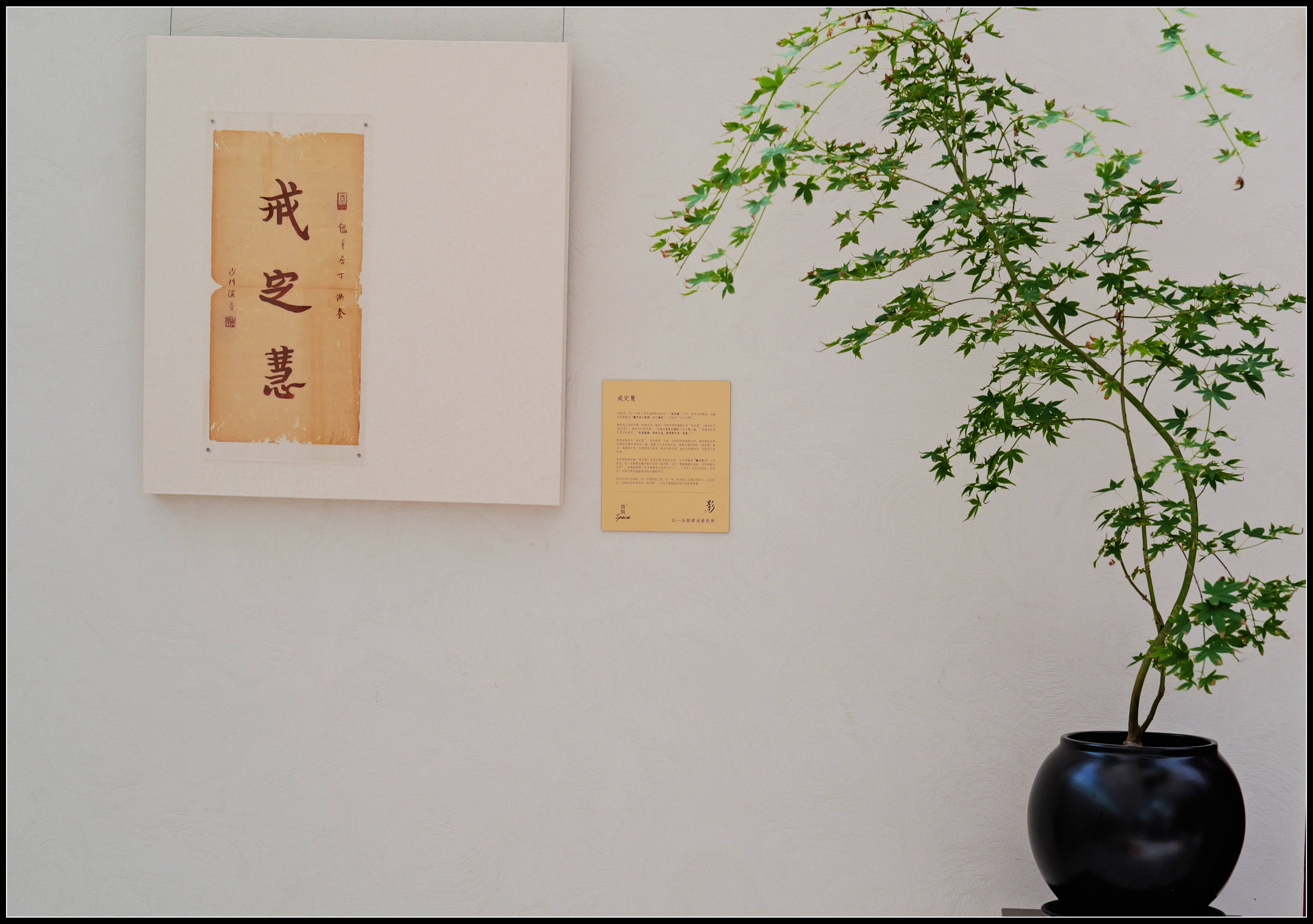 原創有靈魂的字--合院space影--弘一法師書法藝術展