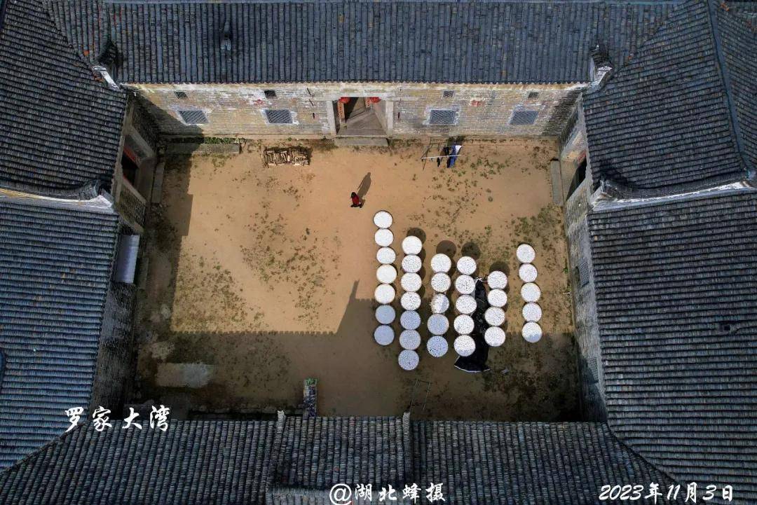 湖北羅田烏桕紅葉攝影採風，大別山金秋光影盛宴，參團認準#國際旅遊攝影網#52旅遊攝影#長紅攝影#52旅行攝影