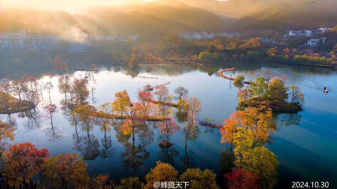 湖北羅田烏桕紅葉攝影採風，大別山金秋光影盛宴，參團認準#國際旅遊攝影網#52旅遊攝影#長紅攝影#52旅行攝影