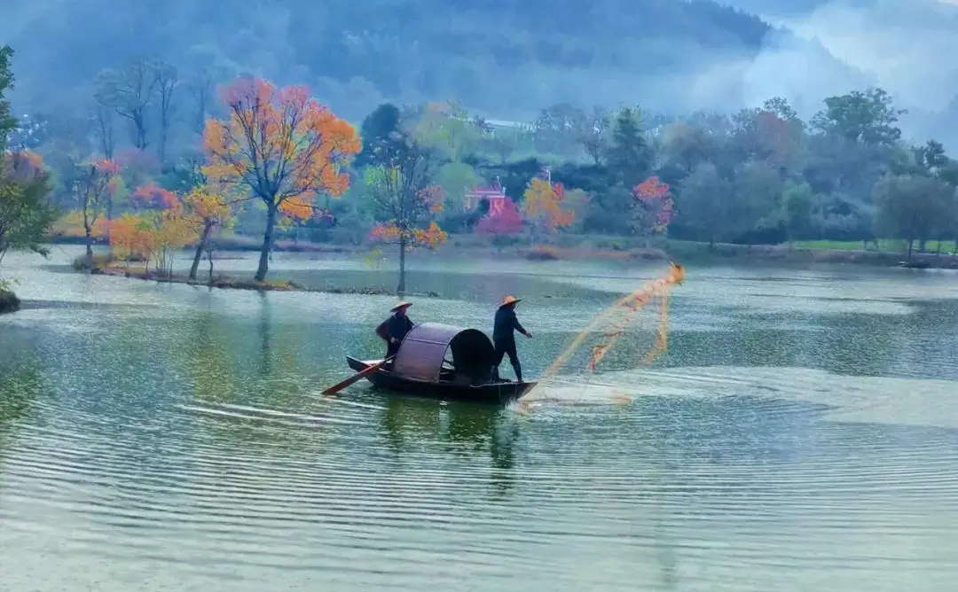 湖北羅田烏桕紅葉攝影採風，大別山金秋光影盛宴，參團認準#國際旅遊攝影網#52旅遊攝影#長紅攝影#52旅行攝影