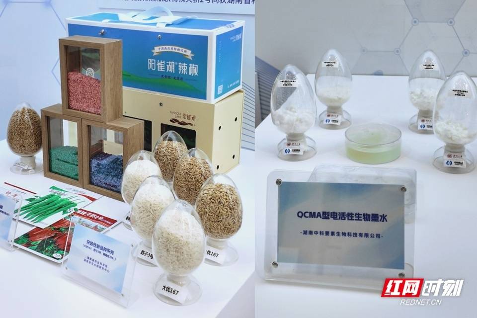 湖南“硬核科技”組團亮相上海